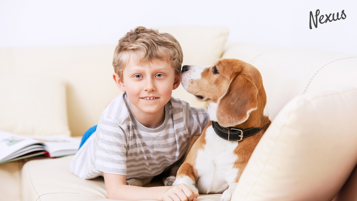 What Your Cat or Dog Is Really Trying to Tell You