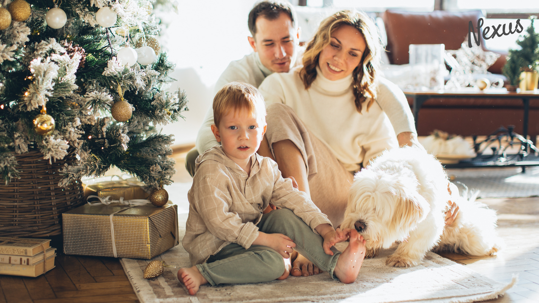 Holiday Gift Ideas for Every Pet Parents