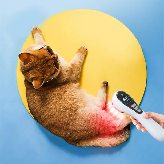 Semiconductor Laser Therapy